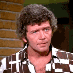 Brady Bunch Mike