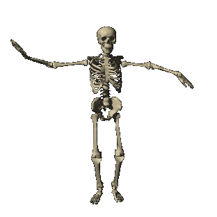 Dance skeleton