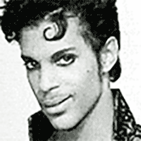 Prince under cherry moon parade