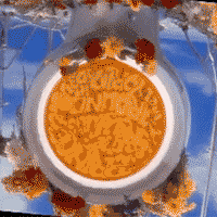 Prince rspberry beret