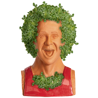 Chia Pet Richard Simmons