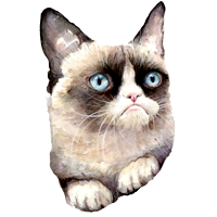 Grumpy Cat
