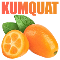 kumquat