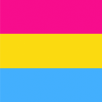 Pride Flag pansexual