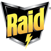 Raid