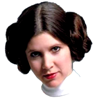 Star Wars Princess Leia carrie fisher