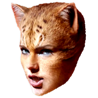 Cats Taylor Swift